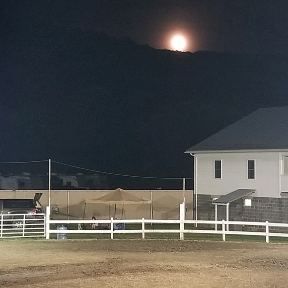 Meet your Posher, Sherrie - Picture 1 of 1